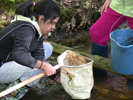 Student studying water quality