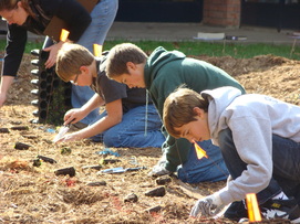 Students planting native plants